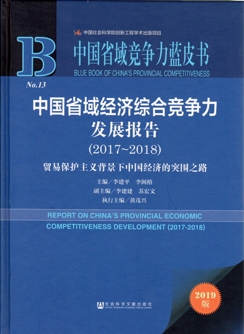 插逼美女中国省域经济综合竞争力发展报告（2017-2018）